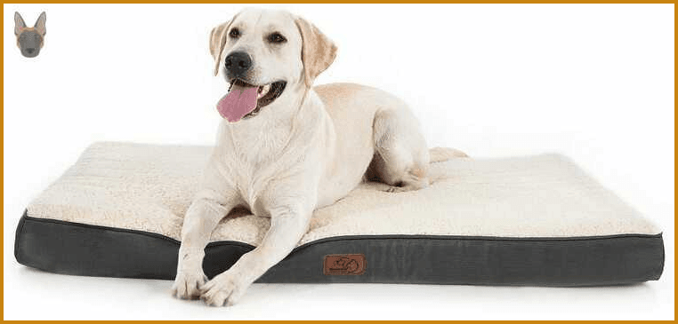 Cama ortopédica Bedsure para perros grandes