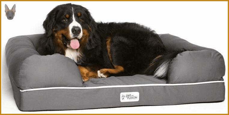 Cama viscoelástica Pet Fusion para perros medianos y grandes
