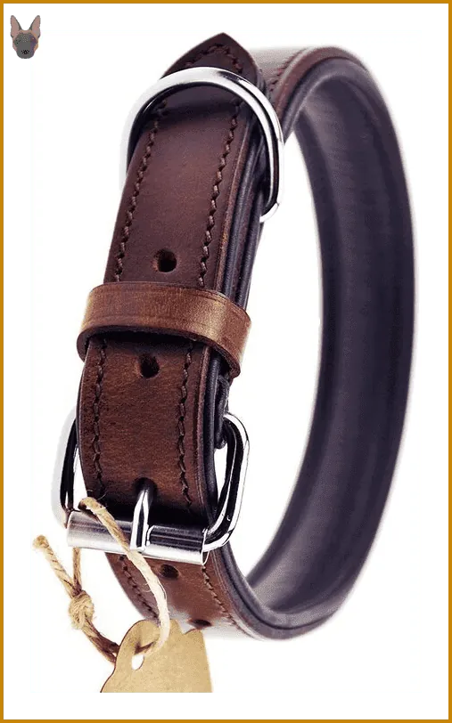 Collar de cuero plano para perro