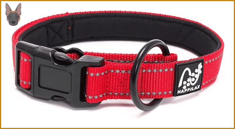 Collar plano de nylon Julius-K9 para perro