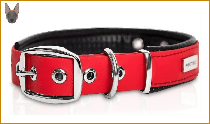 Collar acolchado de calidad para perro
