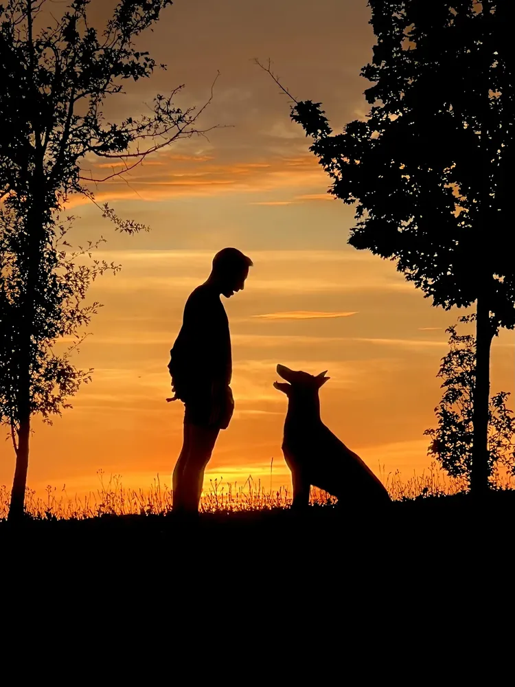 Álvaro y Dante mirándose al atardecer